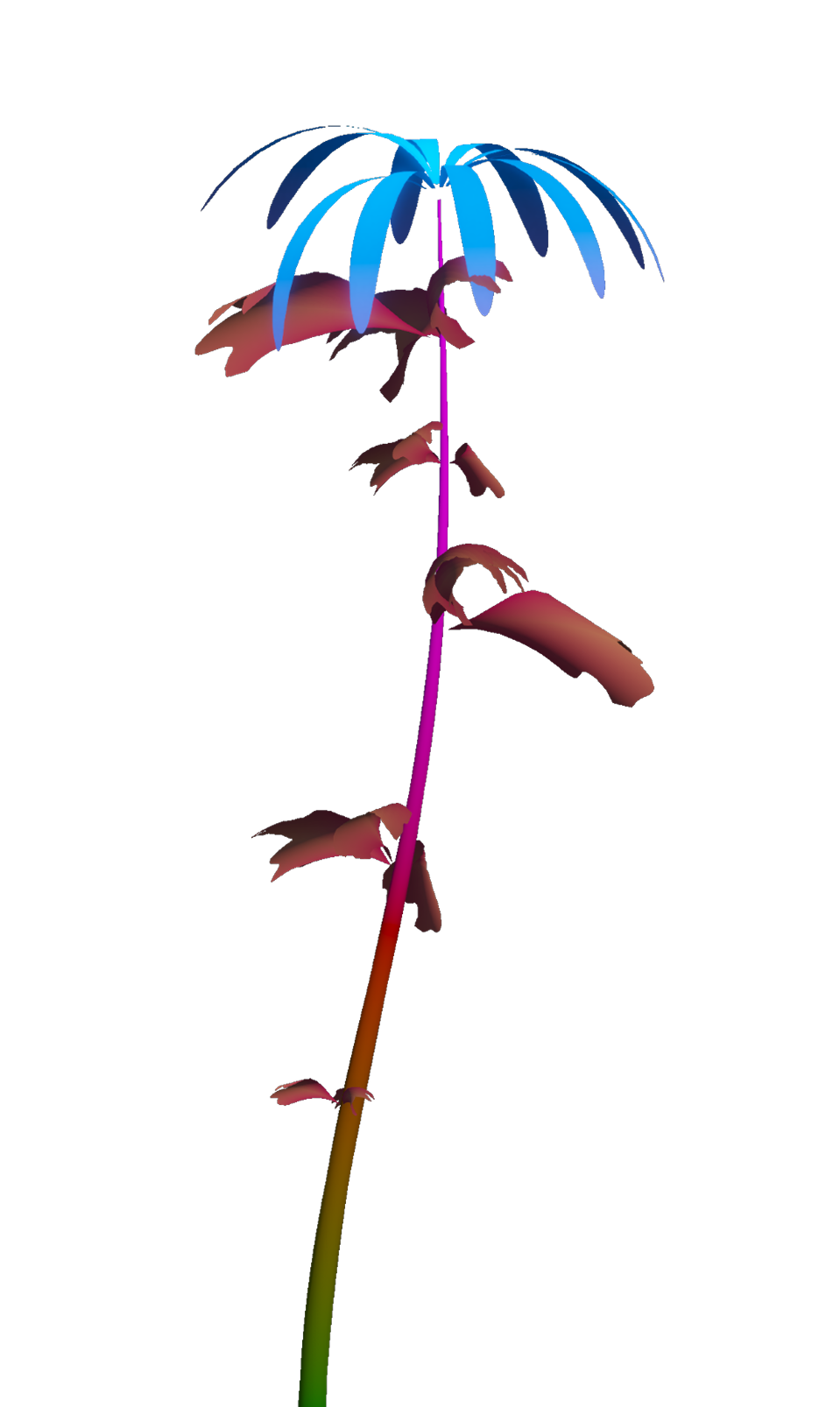 Right flower