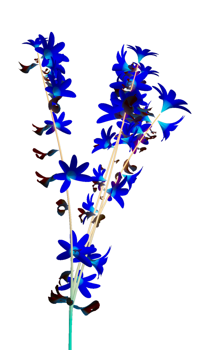 Left flower