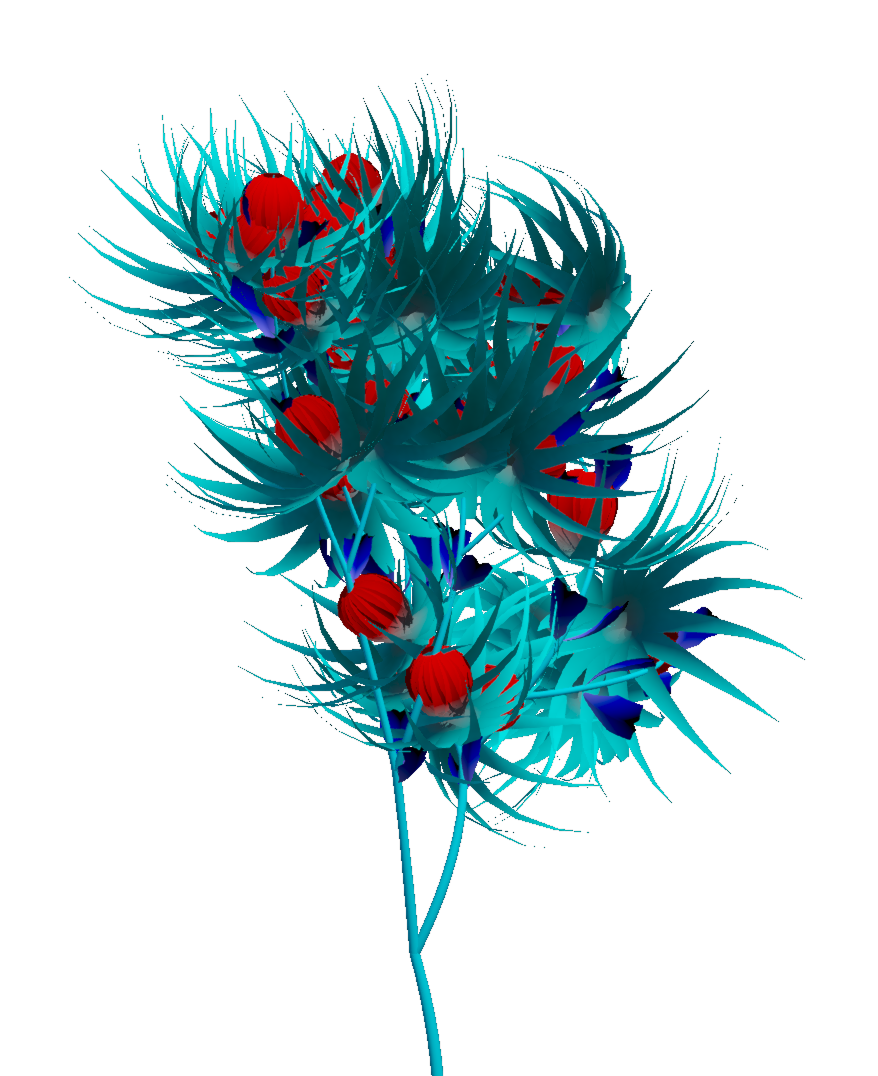 Left flower