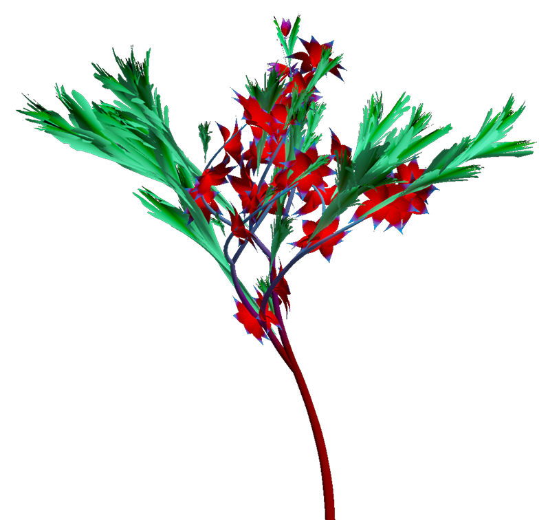 Right flower